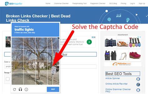 Broken Links Checker | Best Dead Links Check | SEO Magnifier