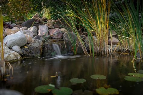 Ponds Gallery Colorado Pond Pros