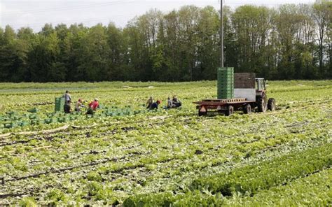 Gute landwirtschaftliche Arbeitskräfte sind rares Gut bauernzeitung