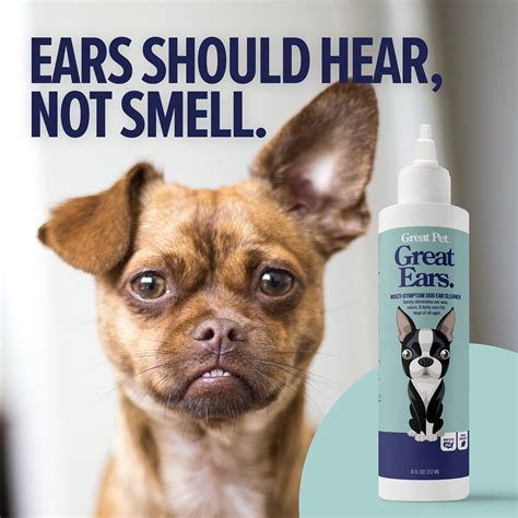 how to clean my dog's ears 11