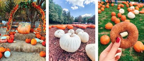 Top Pumpkin Patches Across The U S Yelp Official Blog