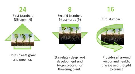 Understanding Lawn And Garden Fertilizer Numbers Glen Echo Nurseries