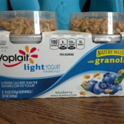 Nutrition Facts For Yoplait Light Yogurt With Granola Shelly Lighting