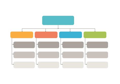 Infographic Flowchart Workflow Diagram Organization Chart Vector