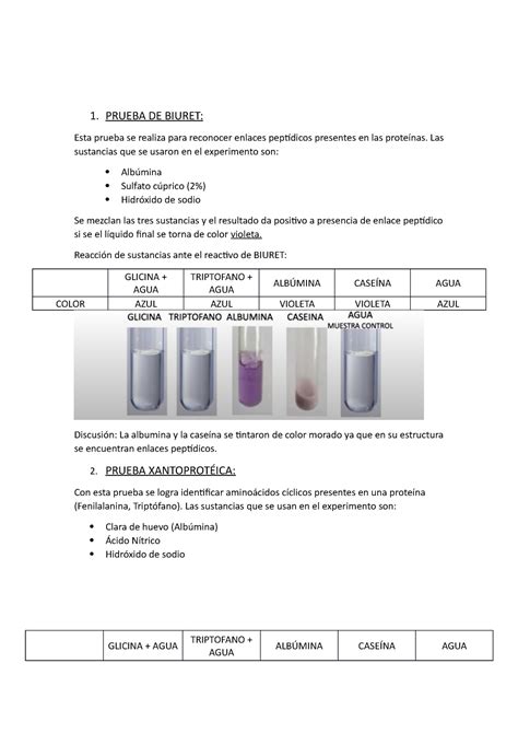Informe Biología Lípidos 1 Prueba De Biuret Esta Prueba Se Realiza Para Reconocer Enlaces