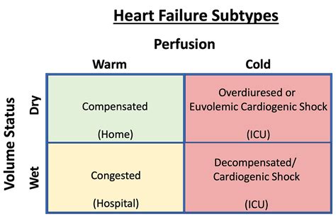 Cardiogenic Shock Part 2 Hemodynamics And Physiology