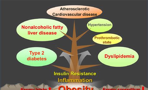 Concept Of Metabolic Syndrome Download Scientific Diagram