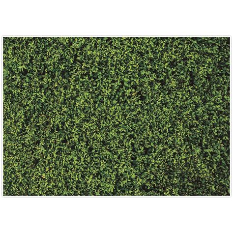 Buy Allenjoy 7x5ft Vinyl Nature Green Lawn Leaves Backdrop For