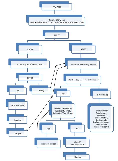 Introduction To Mature T And NK Cell Neoplasms Howitreat In