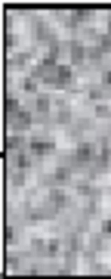 Demonstration of the medium analyzed (S: Source of the radiation, B ...