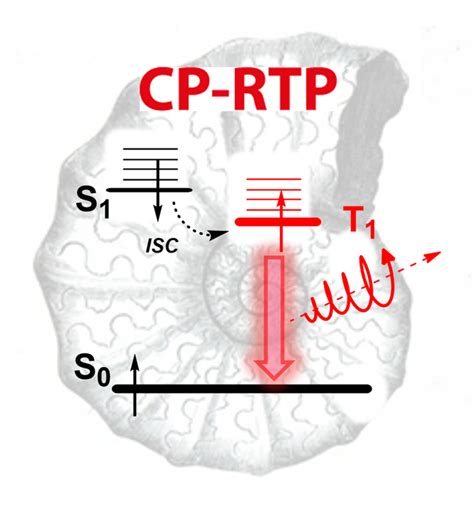 Chirality Wiley Online Library