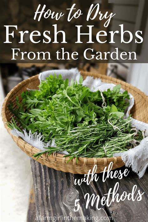 How To Dry Fresh Herbs From The Garden With These 5 Method