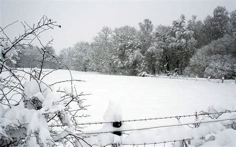 Fond d écran des arbres paysage Monochrome ciel parc hiver