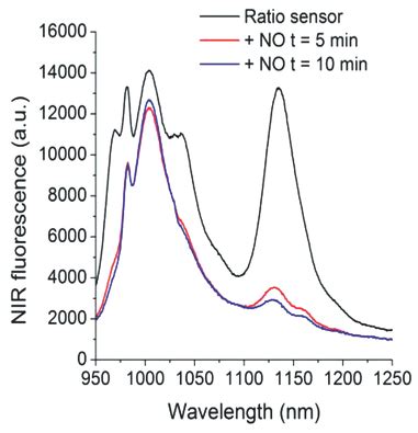 A Ratiometric Sensor Using Single Chirality Nearinfrared Fluorescent