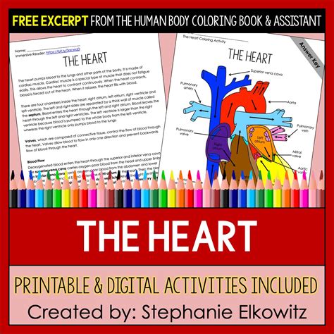 The Heart Coloring Page And Reading Passage Stephanie Elkowitz