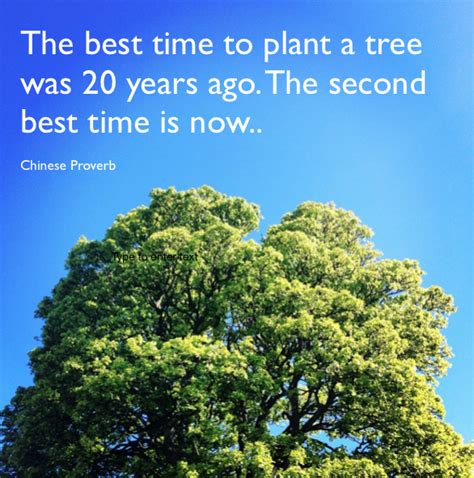 The Best Time To Plant A Tree Was 20 Years Ago The Second Best Time Is