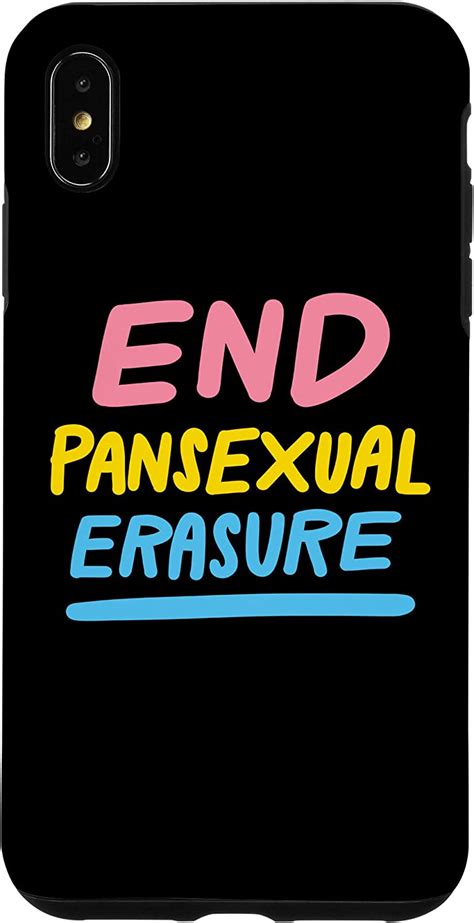 Iphone Xs Max End Pansexual Erasure Lgbtq Pan Pride Flag