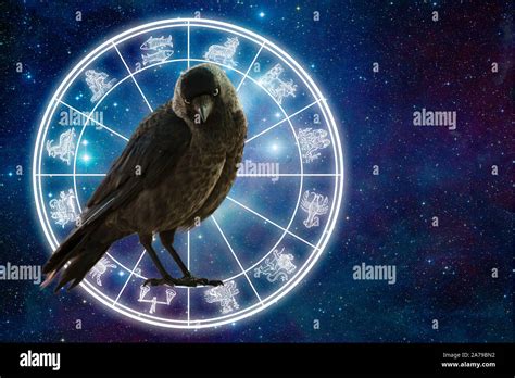 Mystical Bird And Astrology Wheel With All Signs Of The Zodiac Stock