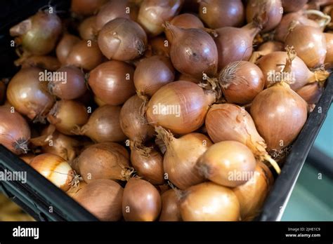 Supermarket In Maurepas District Rennes France Stock Photo Alamy