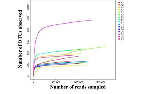 Rarefaction Analysis Of The Different Samples Rarefaction Curves Of