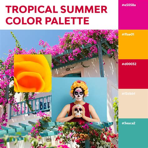 Summer Color Palette Inspiration Trending Palettes And More