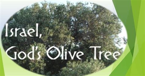 The Revelation Of Jesus Christ Gods Olive Tree 2