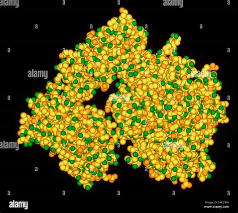 Neuraminidase Enzyme Molecular Model Of The Viral Enzyme Neuraminidase