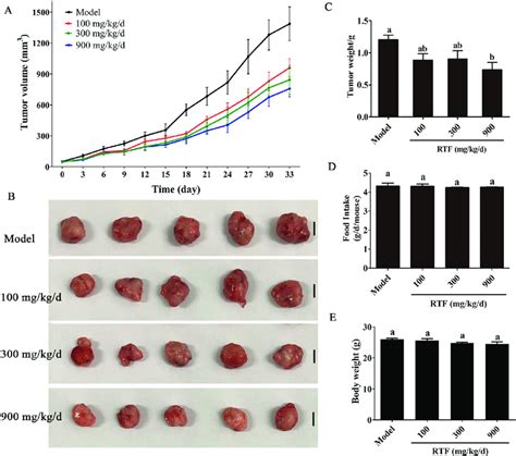 The Tumor Volumes Of Different Groups Of A Bearing Nude Mice B