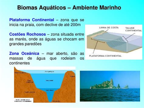 PPT TIPOS DE ECOSSISTEMAS BIOMAS PowerPoint Presentation Free