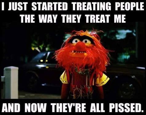 Animal Muppet Meme