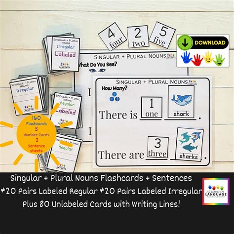 Singular And Plural Nouns Flashcards Sentences 40 Pairs Of Regular And Irregular Plurals