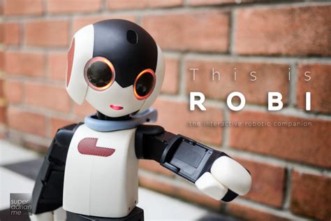 Robi Build Your Own Singlish Speaking Robotic Companion