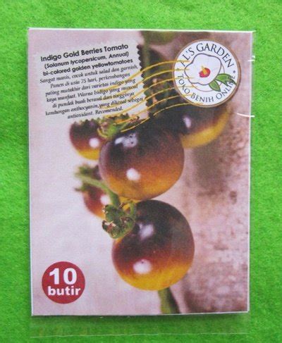 Jual Benih Biji Tomat Indigo Gold Berries Tomato Pack Als Garden Di