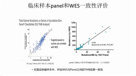 肿瘤ngs大panel｜肿瘤大panel检测的标准化及研究进展标准化中检院肿瘤检测基因样本 健康界