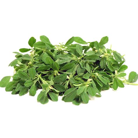 Buy Methi Open Pollinated Seeds Online Best Methi Seeds