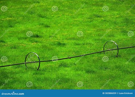 Lush Green Farm Field With Growing Crops And Irrigation Pipe Wheel