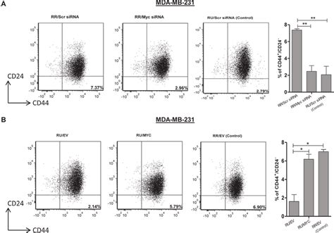 Myc Expression Regulates Cd44 Cd24 Cell Population In Tnbc Cell