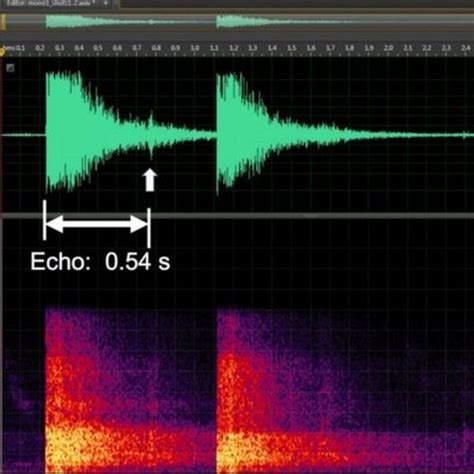 El sonido de los disparos el sorprendente método que ahora ayuda a