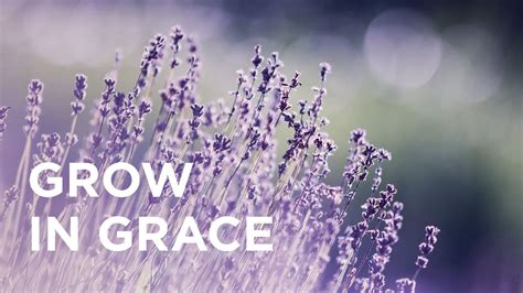 Grow In Grace 01 13 2023 Bible Portal