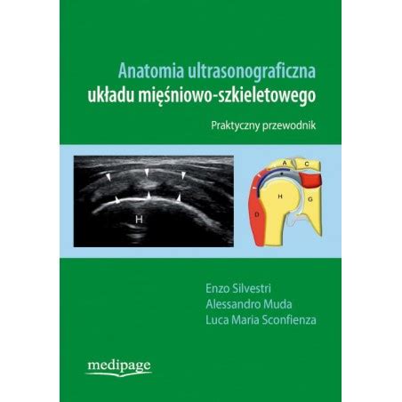 Anatomia Ultrasonograficzna Układu Mięśniowo Szkieletowego Przewodnik