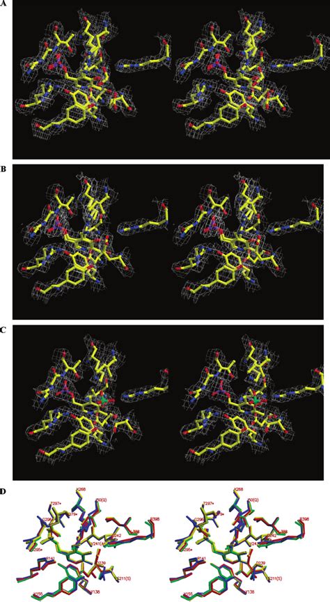 A 2f O F C Electron Density Map For The Active Site Region Of I50q Download Scientific