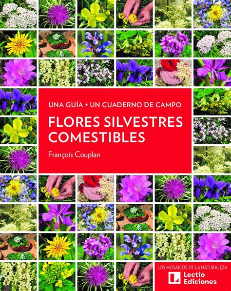 Flores Comestibles Comprar