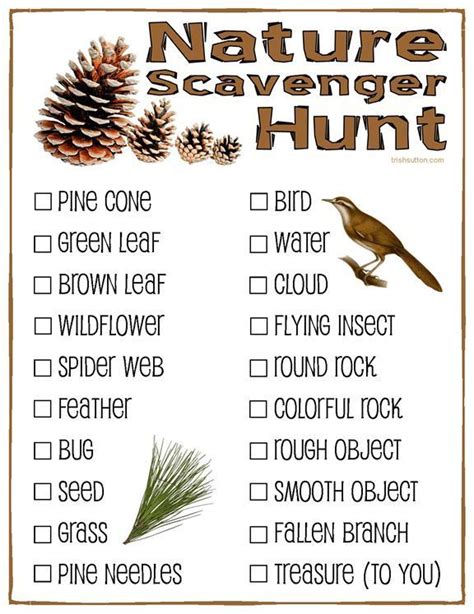 Nature Scavenger Hunt Ideas For Adults