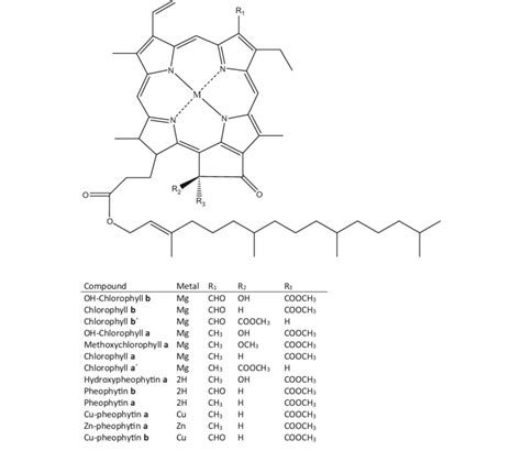 Structures Of Chlorophylls And Their Related Compounds Download Scientific Diagram