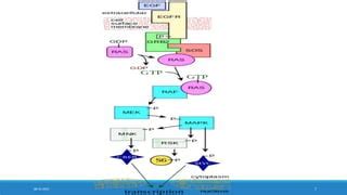 mitogen activated protein kinase.pptx 