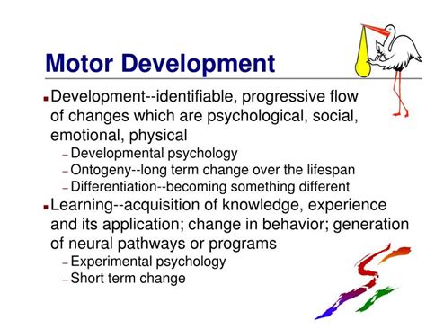 Stages Of Motor Development