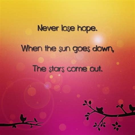 Never Lose Hope When The Sun Goes Down The Stars Come Out Quote