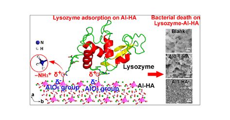 Defect Induced Charge Redistribution And Enhanced Adsorption Of