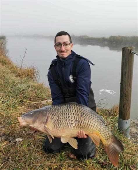 Bilan Des Peches De Sauvetages Canaux De Sa Ne Et Loire F D Ration