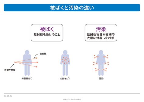 【6 3 06】被ばくと汚染の違い エネ百科｜きみと未来と。